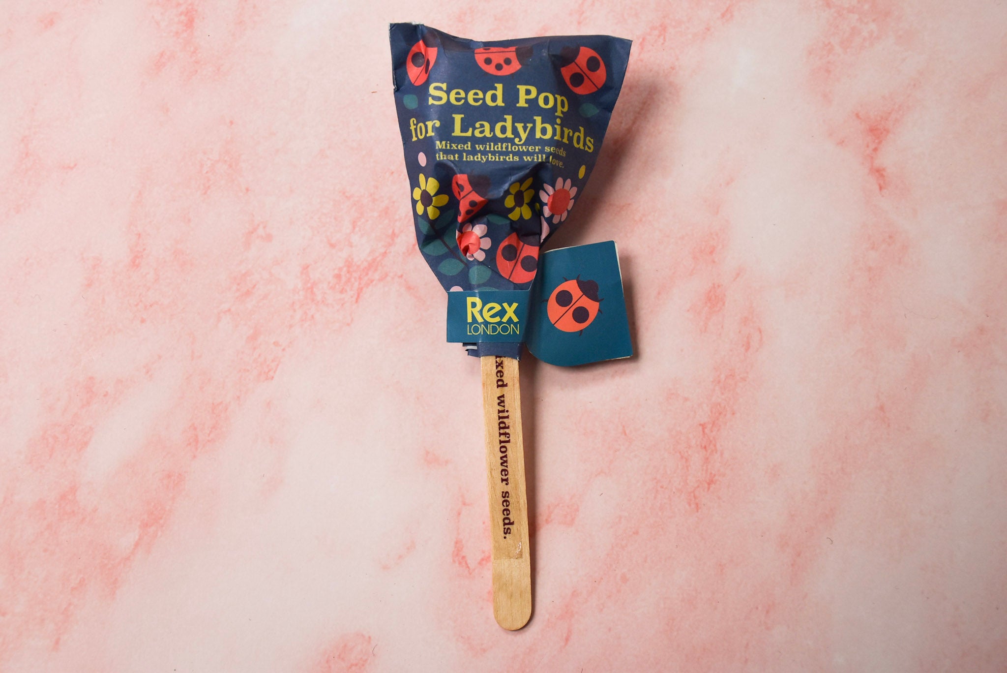 Seed Pop for Ladybird